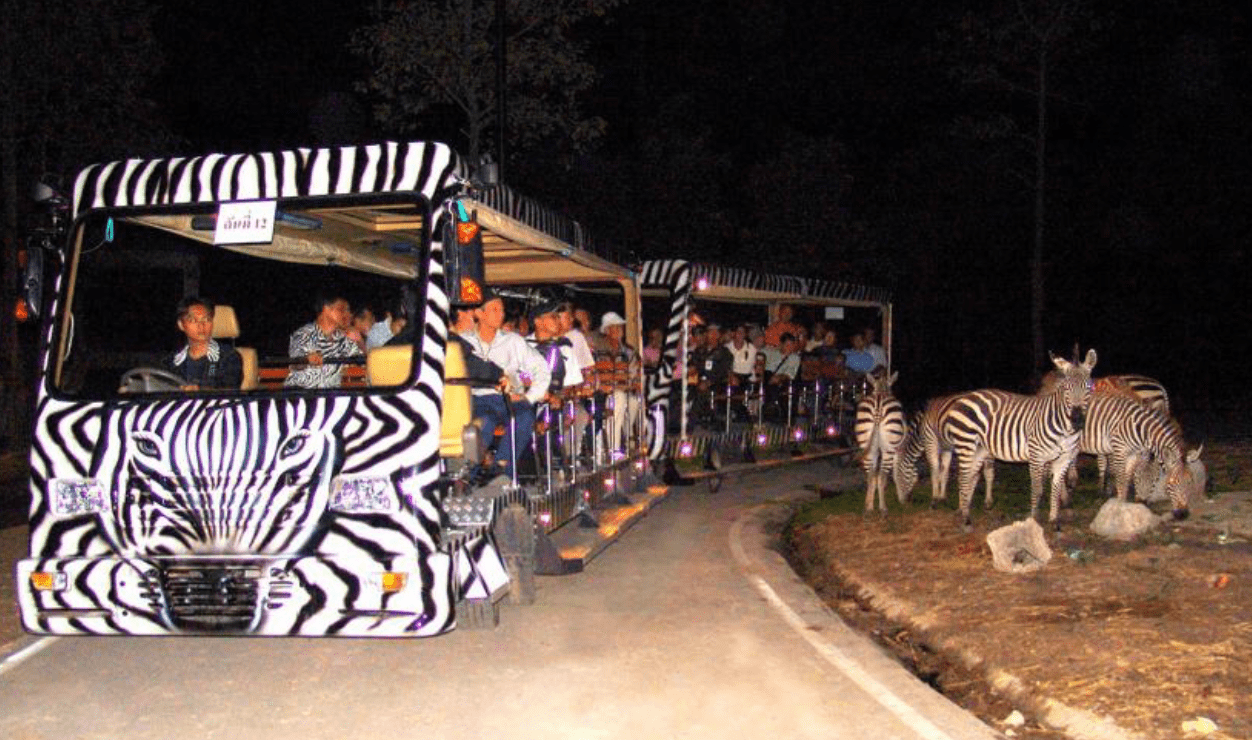 泰國冬季旅遊景點｜4. 清邁夜間動物園（Chiang Mai Night Safari）